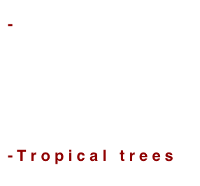 - P h o t o g r a p h y
- L y m p h e d e m a
- T r a v e l l i n g
- C y c l i n g
- T r o p i c a l   t r e e s